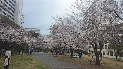 夏の雲公園 多目的広場