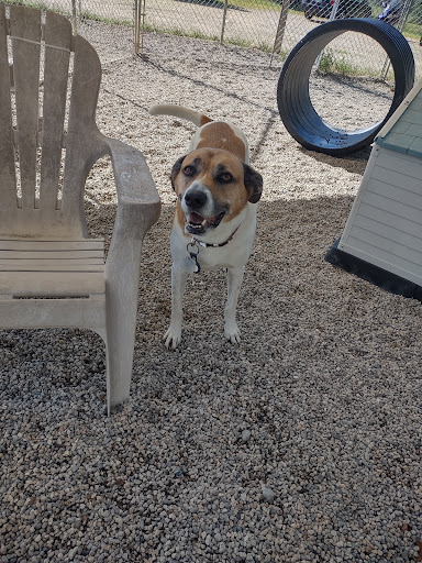 Country Brook Kennels