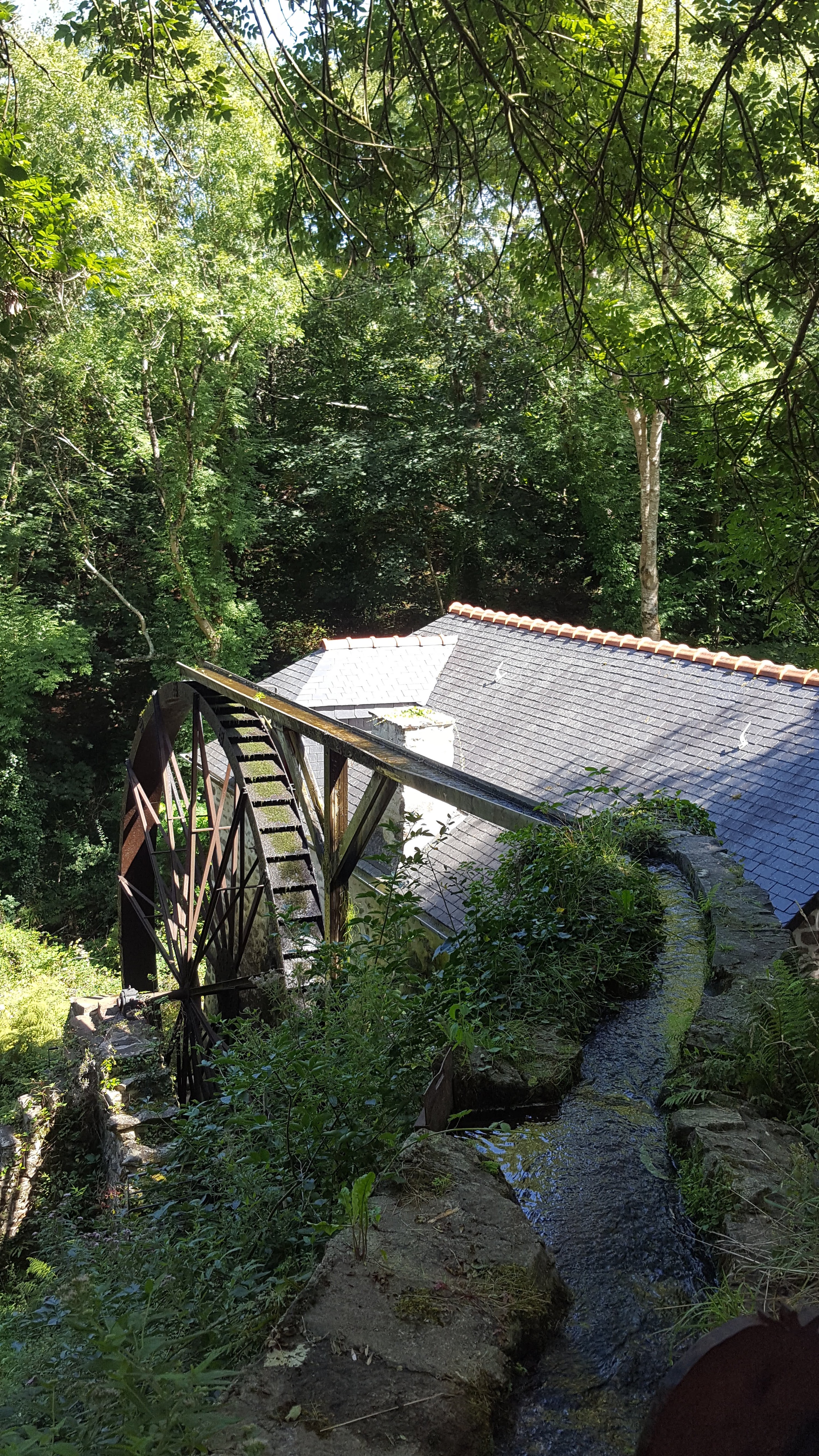 Photo n° 6 de l'avis de Gilles.. fait le 19/08/2019 à 12:19