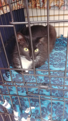 Pet Supply Store «Pet Supplies Plus», reviews and photos, 3984 Seneca St, West Seneca, NY 14224, USA