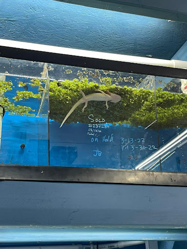 Pet Store «Aqua World Pet Super Center», reviews and photos, 8143 Ohio River Blvd, Pittsburgh, PA 15202, USA