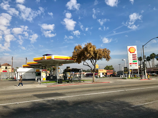 Shell Long Beach