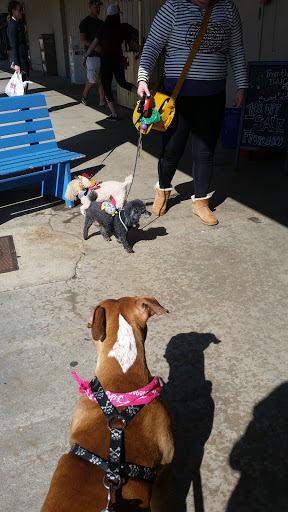 Pet Store «Unleashed», reviews and photos, 2460 Wycliff Rd, Raleigh, NC 27607, USA