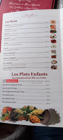 Restaurant turc ISTANBUL à Les Clayes-sous-Bois (le menu)
