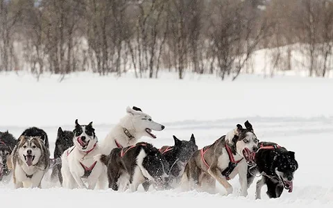 Husky Home/Kiruna i Norr AB image