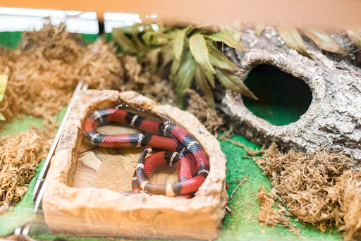 Pet Supply Store «Skyway Feed & Pet Supply Inc», reviews and photos, 677 Birch St, Paradise, CA 95969, USA