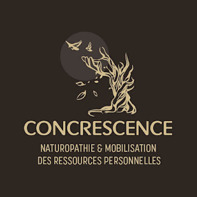 Studio Concrescence à Nancy