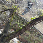 Photo n° 5 de l'avis de Diego.a fait le 22/04/2019 à 17:40 pour Randonnée Gorges de Carançà à Thuès-Entre-Valls