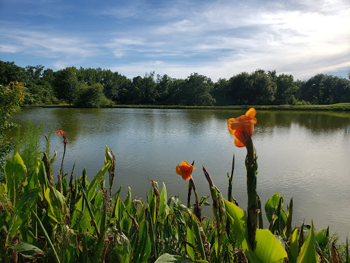 Golf Course «Clear Creek Golf Course», reviews and photos, 1566 Tiffentown Rd, Vicksburg, MS 39183, USA