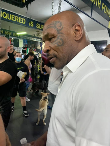 Gym «South Beach Boxing», reviews and photos, 715 Washington Ave, Miami Beach, FL 33139, USA