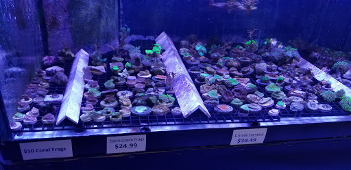 Tropical Fish Store «Reef eScape», reviews and photos, 11141 Lee Hwy, Fairfax, VA 22030, USA