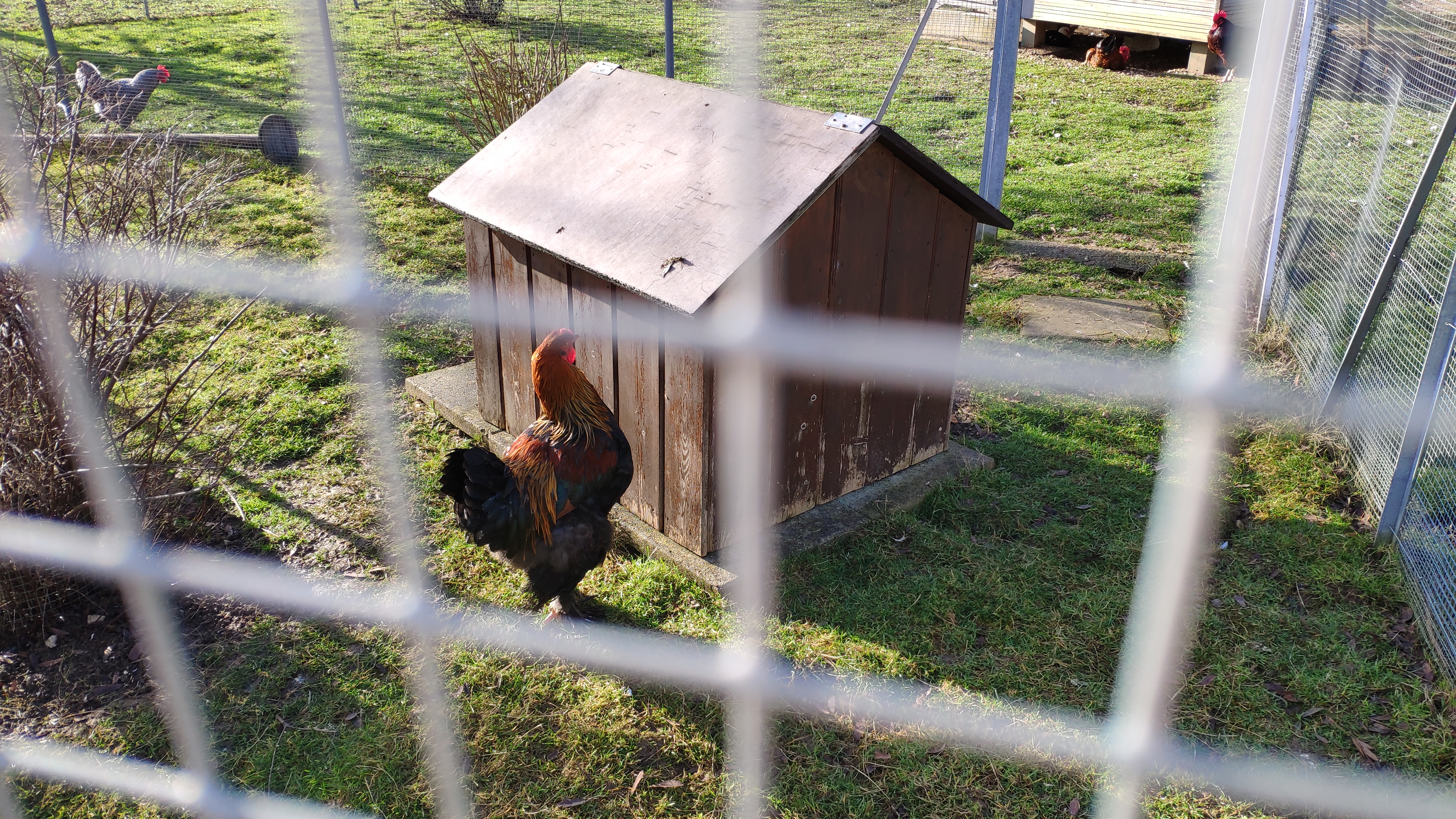 Photo n° 4 de l'avis de CYRIL.U fait le 31/12/2020 à 13:47