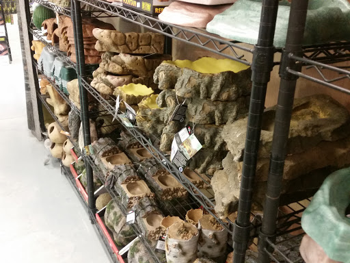 Pet Store «Exotic Pets», reviews and photos, 2410 N Decatur Blvd #160, Las Vegas, NV 89108, USA