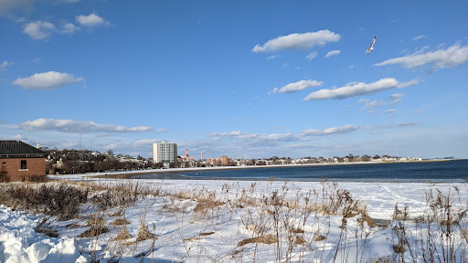 Park «Joe Moakley Park», reviews and photos, 1005 Columbia Road, Boston, MA 02127, USA