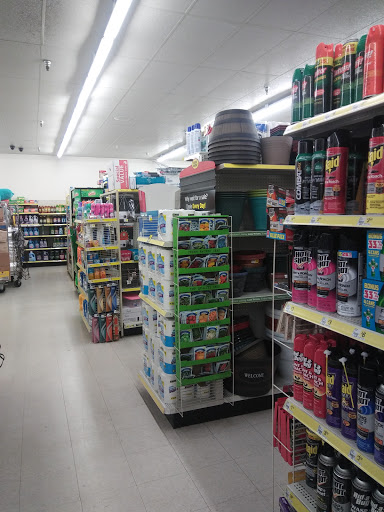 Discount Store «Dollar General», reviews and photos, 395 E Burleigh Blvd, Tavares, FL 32778, USA