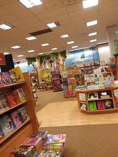 Book Store «Barnes & Noble Booksellers Pensacola», reviews and photos, 1200 Airport Blvd, Pensacola, FL 32504, USA