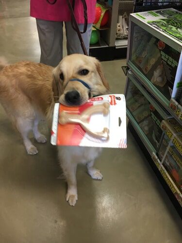 Pet Supply Store «Atlas Pet Supply», reviews and photos, 1798 Market Dr, Stillwater, MN 55082, USA