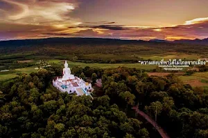 Wat Phu Thong Thep Nimit image