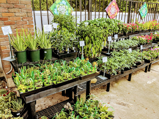 Hardware Store «Alspaugh Ace Hardware», reviews and photos, 2720 W Lake Houston Pkwy, Kingwood, TX 77339, USA