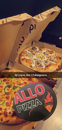 Photos du propriétaire du Pizzeria Allo pizza à Villiers-sur-Marne - n°7