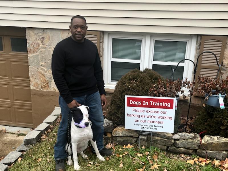Behavior and Dog Training LLC