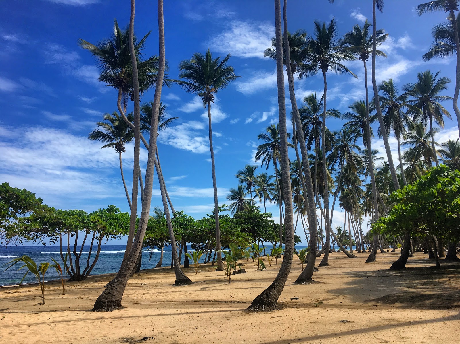 Playa Caleton Grande的照片 带有明亮的沙子表面