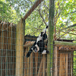 Photo n°2 de l'avis de Alessandro.o fait le 18/08/2020 à 19:40 sur le  Parc Gallorose à Loc. Cedrino