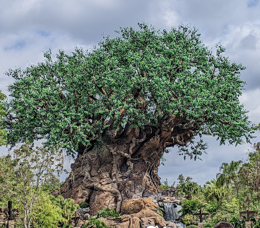 Travel Agency «Pixie Vacations», reviews and photos, 149 Misty Valley Dr, Canton, GA 30114, USA