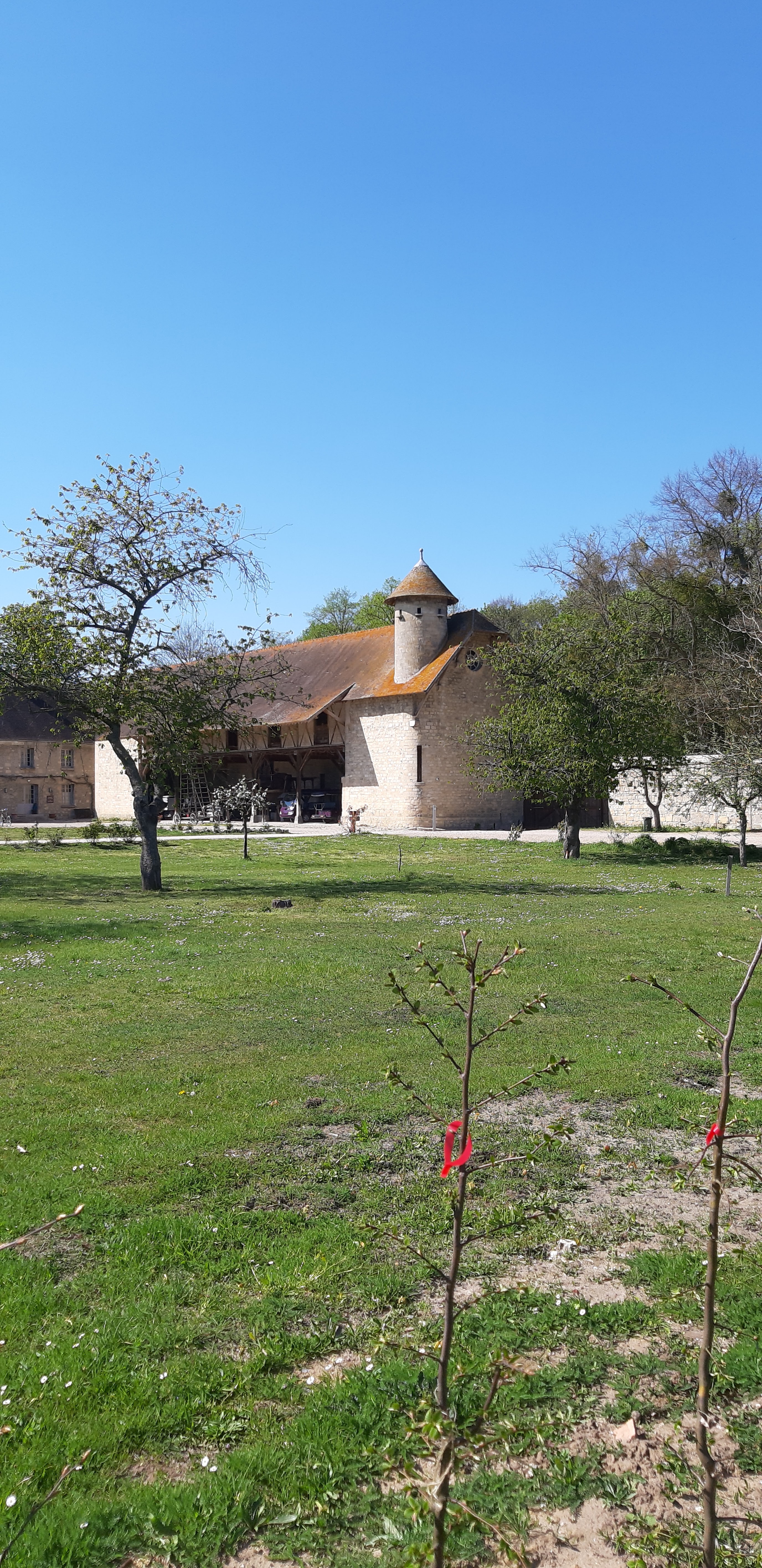 Photo n° 31 de l'avis de Eric.a fait le 21/04/2019 à 12:19