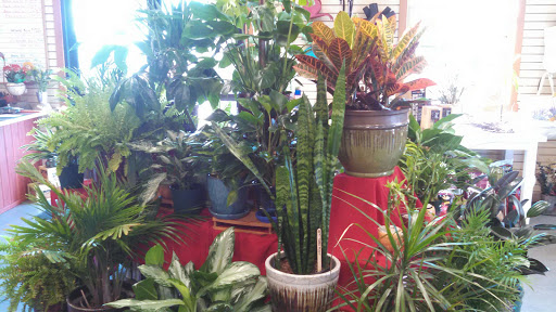 Garden Center «The Potting Shed Garden & Gifts and Urban Meadows Floral», reviews and photos, 1717 Devney Dr, Altoona, WI 54720, USA