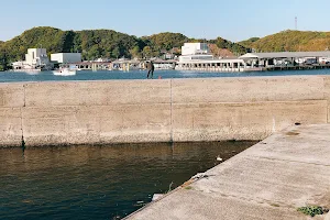Toyohama Sea Fishing Park image