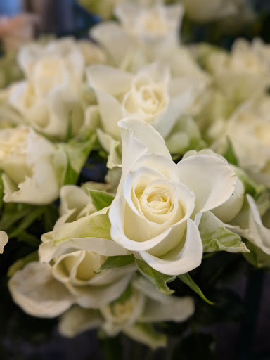 Florist «Derby Farm Flowers & Gardens», reviews and photos, 218 Massachusetts Ave, Arlington, MA 02474, USA