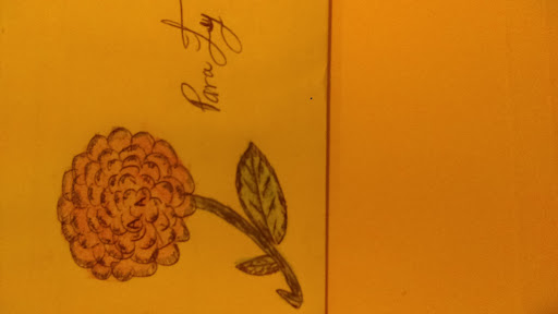 Supermarket «Supermercado Mi Pueblo», reviews and photos, 2838 International Blvd, Oakland, CA 94601, USA