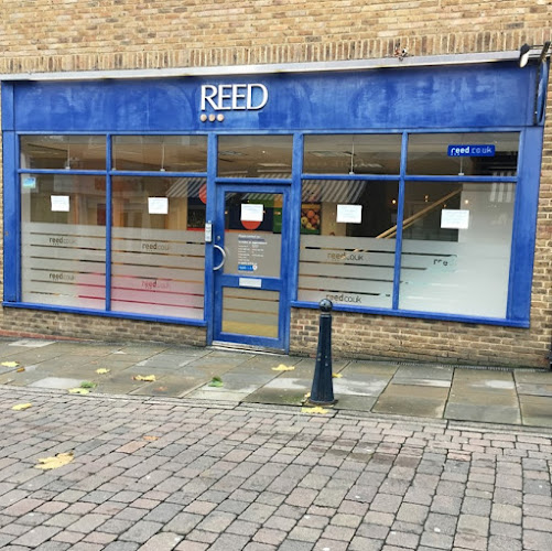 Reviews of Reed Recruitment Agency in Maidstone - Employment agency