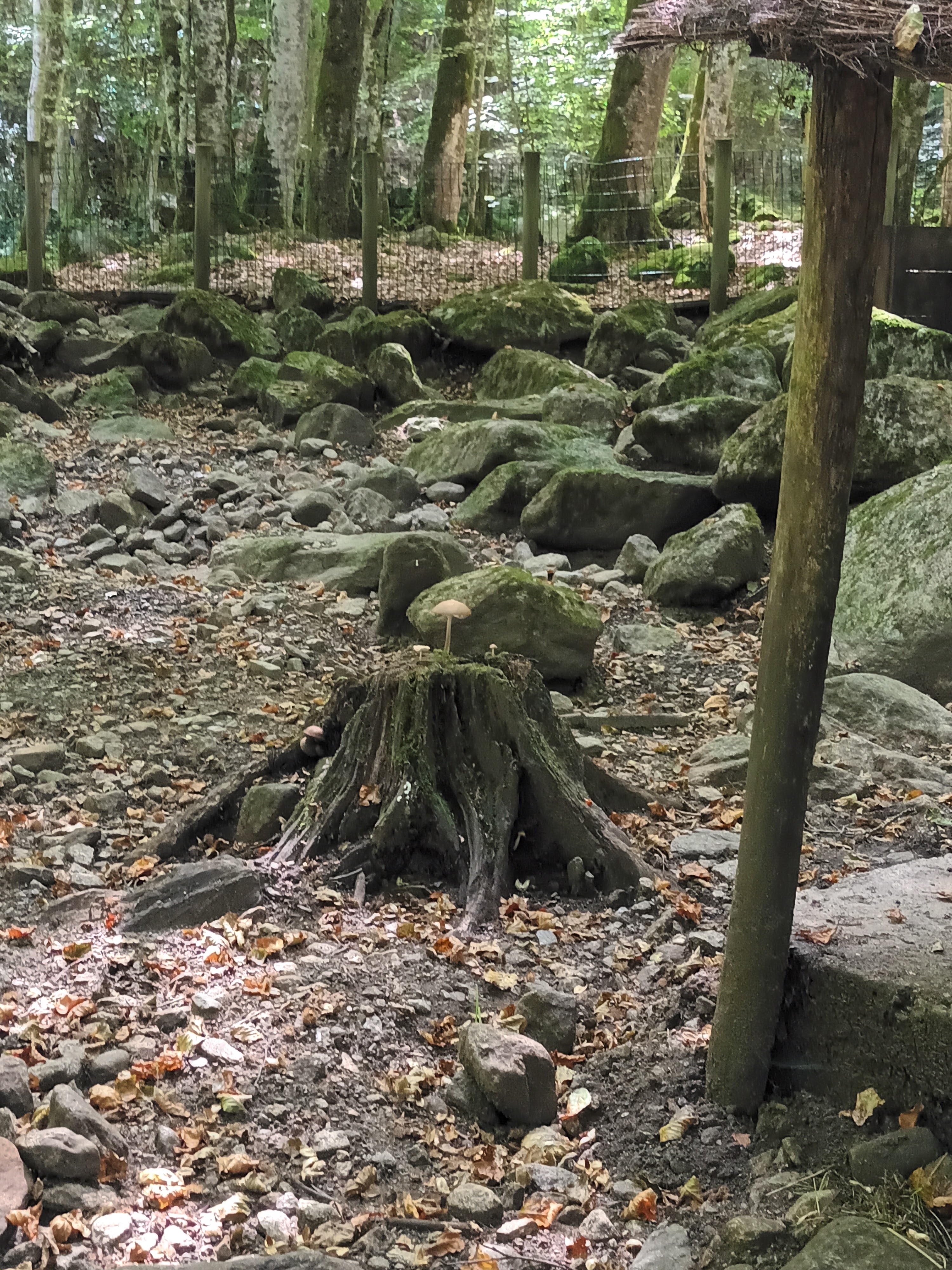 Photo n° 1 de l'avis de Hélène.i fait le 25/08/2023 à 19:07