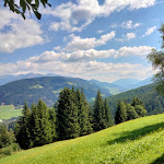 Photo n°17 de l'avis de Massimiliano.i fait le 11/08/2022 à 21:05 sur le  Restaurant Walde Alm à Welsberg-Taisten