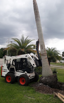 Flores Landscaping & Maintenance - Bradenton, Florida