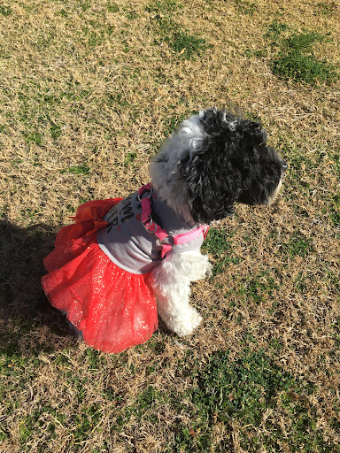 Pet Supply Store «PetSmart», reviews and photos, 1561 N Dysart Rd, Avondale, AZ 85323, USA