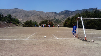 Estadio Saucillo