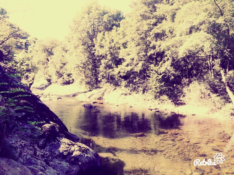 Photo n° 8 de l'avis de Stefe. fait le 27/06/2018 à 14:23