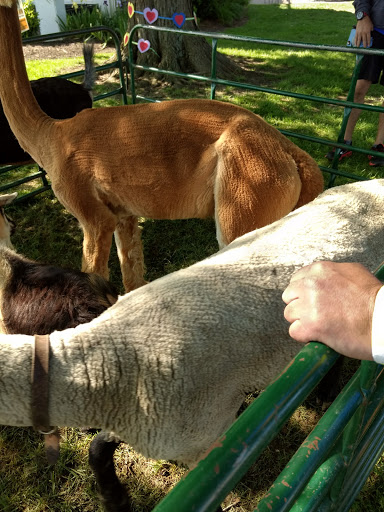 Park «Cottell Park», reviews and photos, 5847 Irwin Simpson Rd, Mason, OH 45040, USA