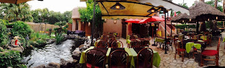Photos du propriétaire du Restaurant asiatique Hanh Phuc à Agde - n°18