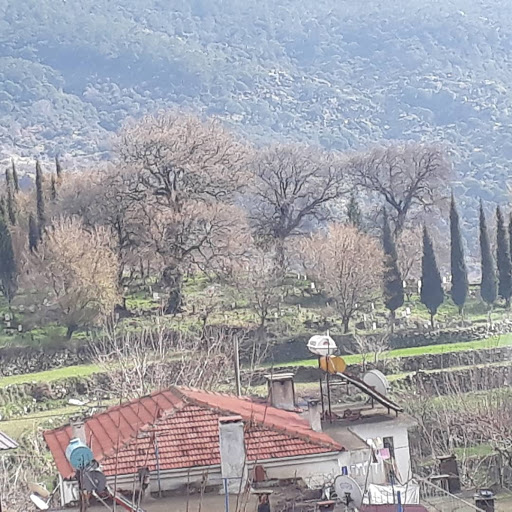 Smmm Mehmet Gürcan Yavuz