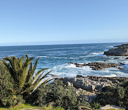 Hermanus Whale Watching View Point photo