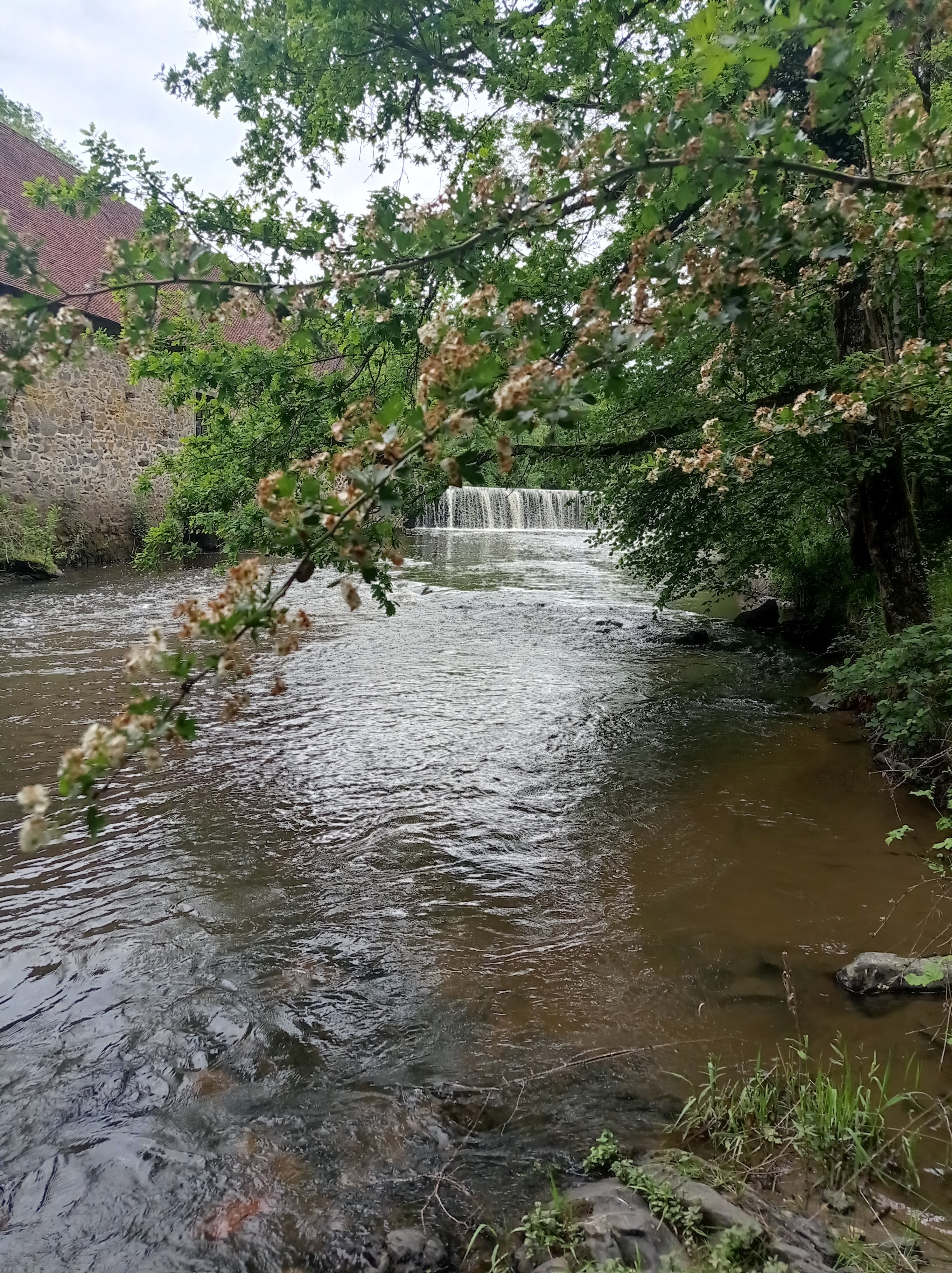 Photo n° 8 de l'avis de Sebastien.e fait le 24/05/2023 à 11:45