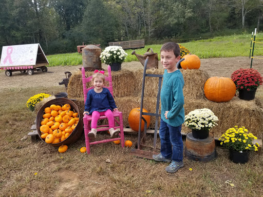 Tourist Attraction «Still Family Farm, LLC», reviews and photos, 5630 Macland Rd, Powder Springs, GA 30127, USA