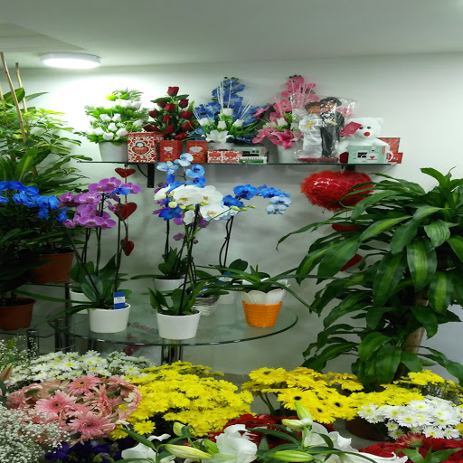Hobbies Flowers - Flower Delivery Cheap Istanbul