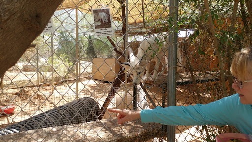 Wildlife Rescue Service «Southwest Wildlife Conservation Center», reviews and photos, 27026 N 156th St, Scottsdale, AZ 85262, USA