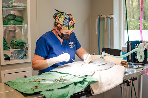 AWS Community Veterinary Clinic image