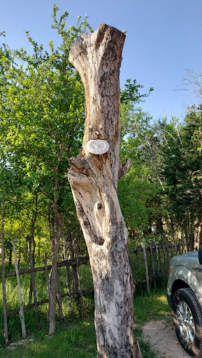 Golf Club «Flying Armadillo Disc Golf Club», reviews and photos, 3115 Hilliard Rd, San Marcos, TX 78666, USA